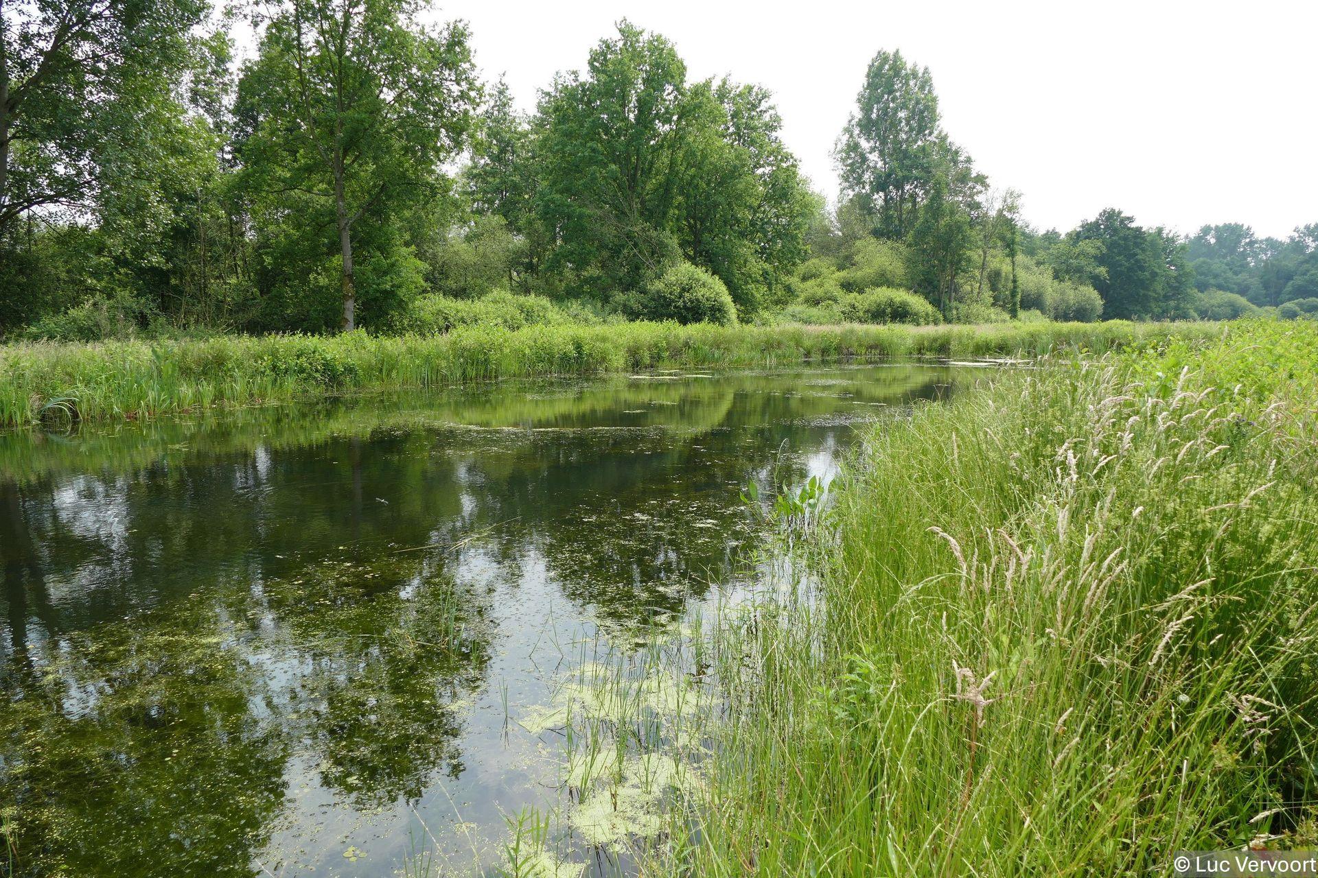 Demerbroeken